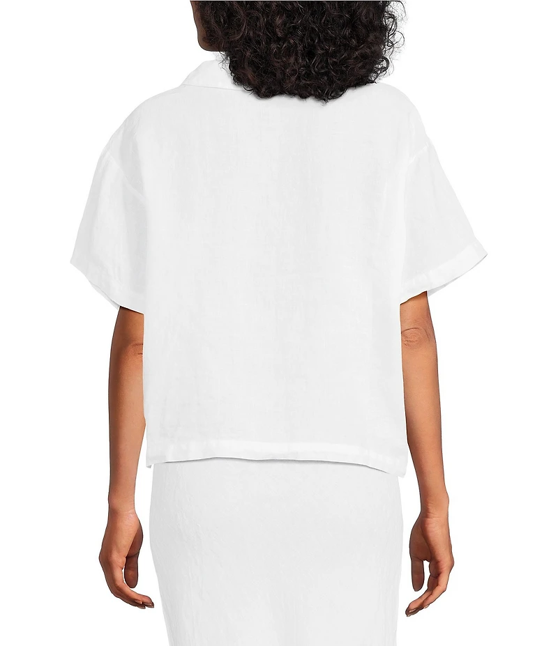 Bryn Walker Ester Light Linen Chelsea Collar V-Neck Short Sleeve Blouse