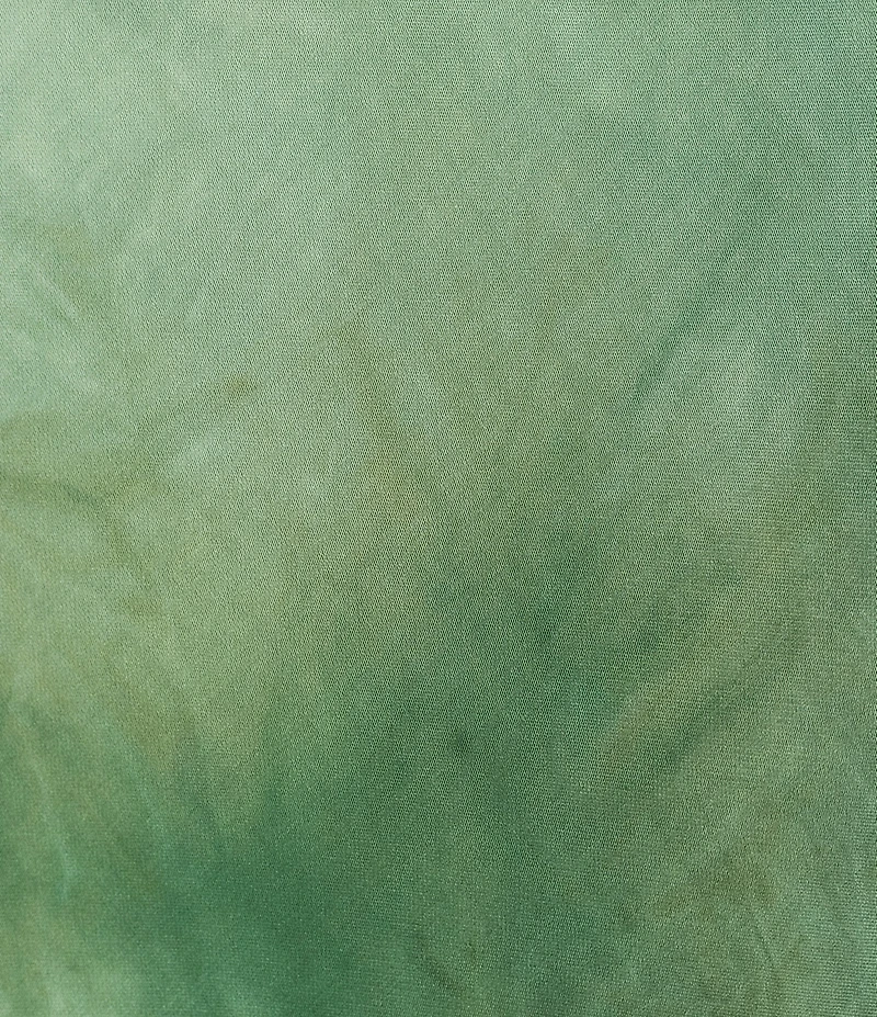 Bryn Walker Verde Printed Satin A-Line Bias Maxi Skirt