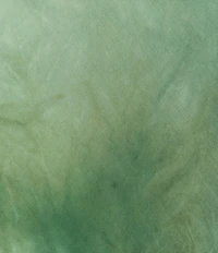 Bryn Walker Verde Printed Satin A-Line Bias Maxi Skirt