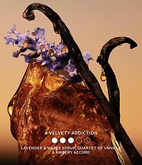 Burberry Goddess Amber Vanilla Eau de Parfum Intense