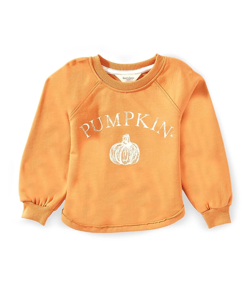 Burt's Bees Baby Pumpkin Organic Cotton Sweatshirt