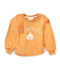 Burt's Bees Baby Pumpkin Organic Cotton Sweatshirt
