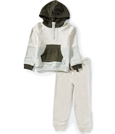 Burt's Bees Little Boys Color Block Long-Sleeve French Terry Hooded Sweatshirt & Solid French Terry Jogger Pants Set
