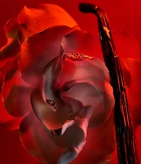 Bvlgari Allegra Baciami Eau de Parfum 3-Piece Gift Set