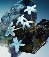 Bvlgari Le Gemme Amunae Eau de Parfum