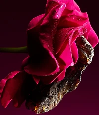 Bvlgari Le Gemme Sahare Eau de Parfum