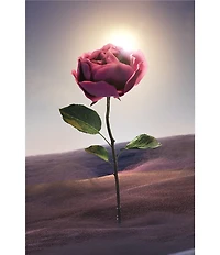 Bvlgari Le Gemme Sahare Eau de Parfum