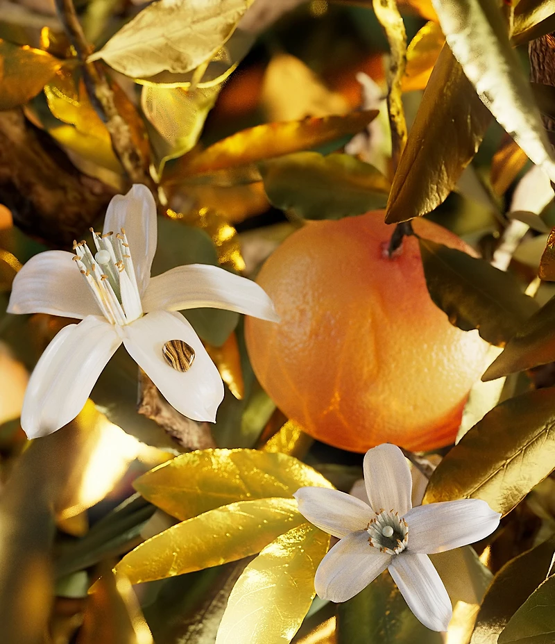 Bvlgari Le Gemme Tygar Eau de Parfum