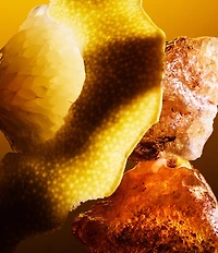 Bvlgari Le Gemme Tygar Extrait Parfum