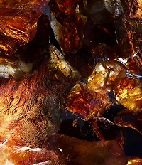 Bvlgari Le Gemme Yasep Eau de Parfum