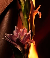 Bvlgari Man In Black Eau de Parfum 2-Piece Gift Set