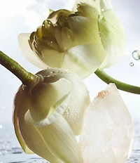 Bvlgari Man Rain Essence Eau de Parfum