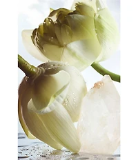 Bvlgari Man Rain Essence Eau de Parfum 2-Piece Gift Set