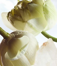 Bvlgari Man Rain Essence Eau de Parfum 2-Piece Gift Set