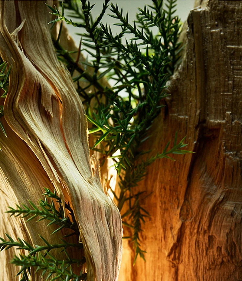 Bvlgari Man Wood Essence Eau de Parfum