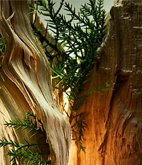 Bvlgari Man Wood Essence Eau de Parfum