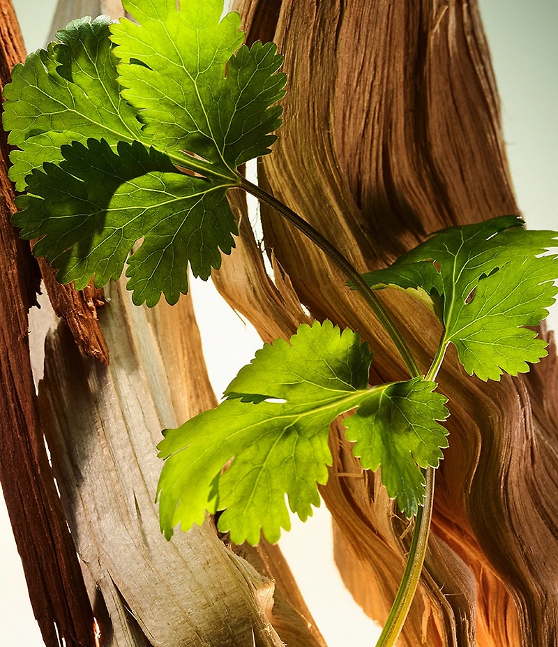 Bvlgari Man Wood Essence Eau de Parfum 2-Piece Gift Set