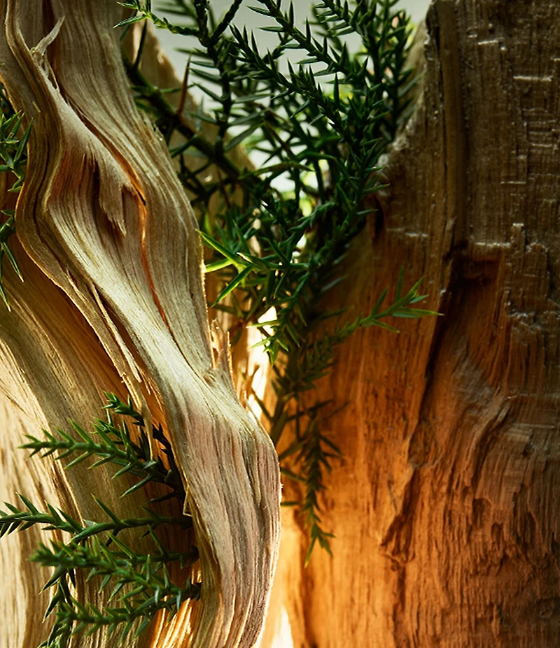 Bvlgari Man Wood Essence Eau de Parfum 2-Piece Gift Set