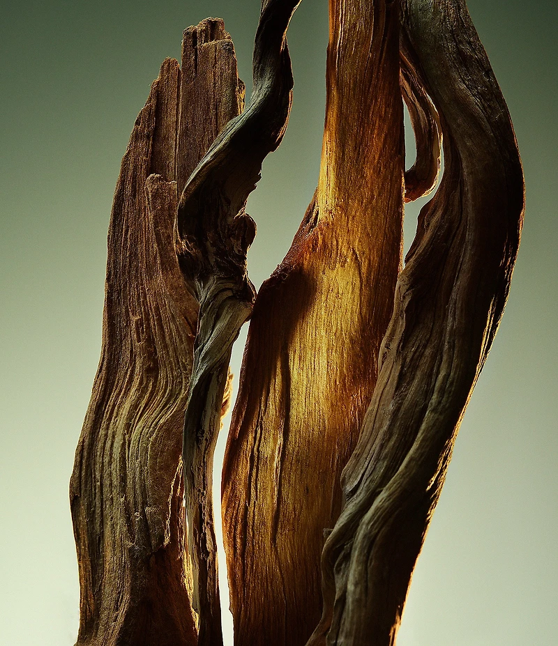 Bvlgari Man Wood Essence Parfum