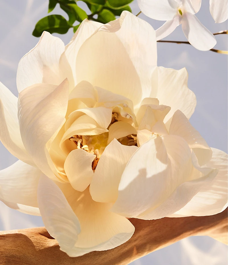 Bvlgari Omnia Crystalline Eau de Parfum 2-Piece Gift Set