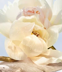 Bvlgari Omnia Crystalline Eau de Toilette