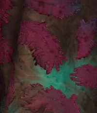 Calessa Burnout Tie Dye Knit Split V-Neck Bracelet Sleeve Top