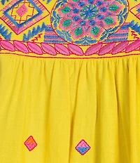 Calessa Embroidered Round Neck Ruffle Cap Sleeve Tunic