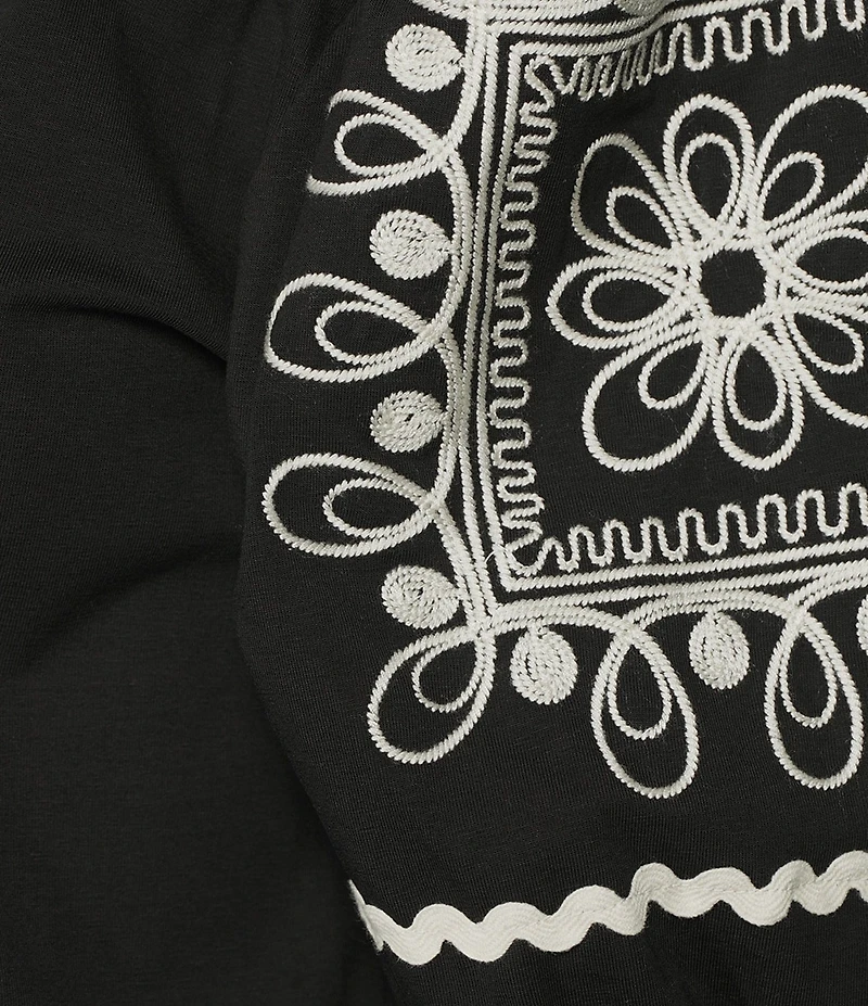 Calessa Embroidered Split V-Neck Short Balloon Sleeve Blouse