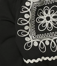 Calessa Embroidered Split V-Neck Short Balloon Sleeve Blouse