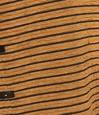 Calessa Knit Textured Artist Wire Collar Zip Front 3/4 Sleeve Tunic