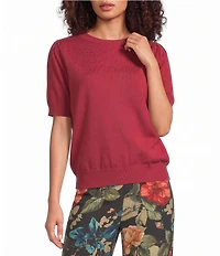 Calessa Petite Size Knit Crew Neck Short Sleeve Sweater