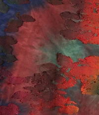 Calessa Plus Size Burnout Tie-Dye Crew Neck 3/4 Sleeve Asymmetric Tunic