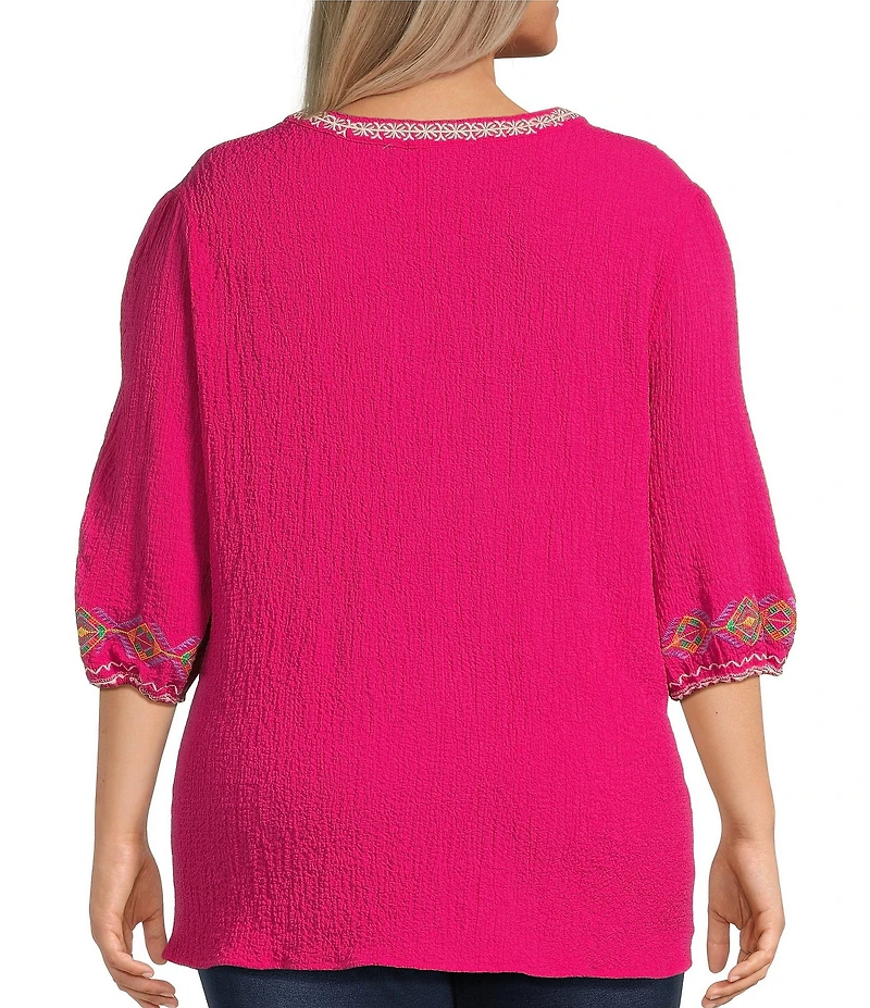 Calessa Plus Size Embroidered Split V-Neck Long Sleeve Tunic