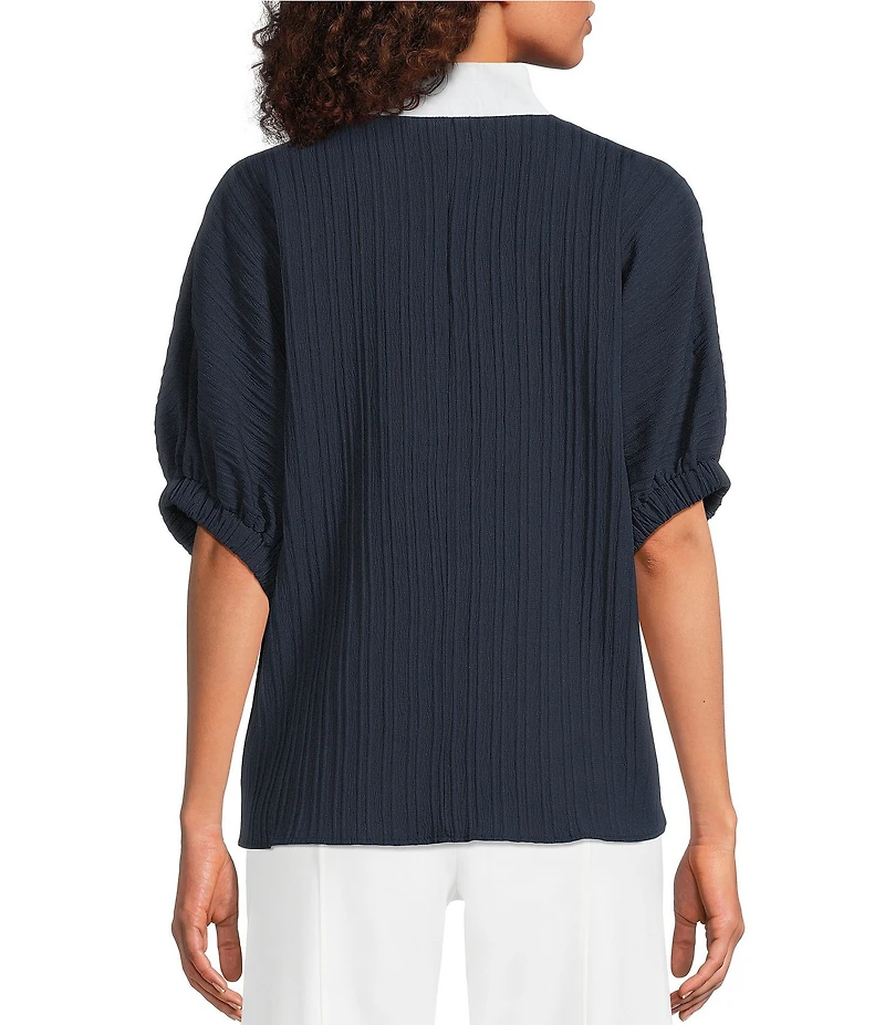 Calessa Woven Textured Stripe Band Collar Elbow Length Sleeve Tunic