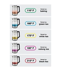 Capresso H2O Glass Select Rapid Boil Kettle