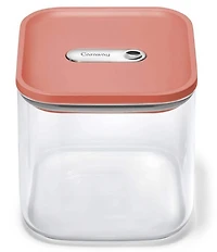 Caraway Medium Glass Airtight Container