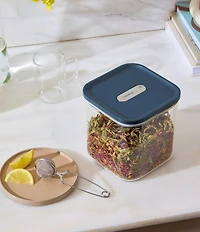 Caraway Medium Glass Airtight Container