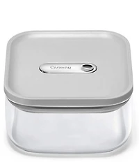 Caraway Small Glass Airtight Container