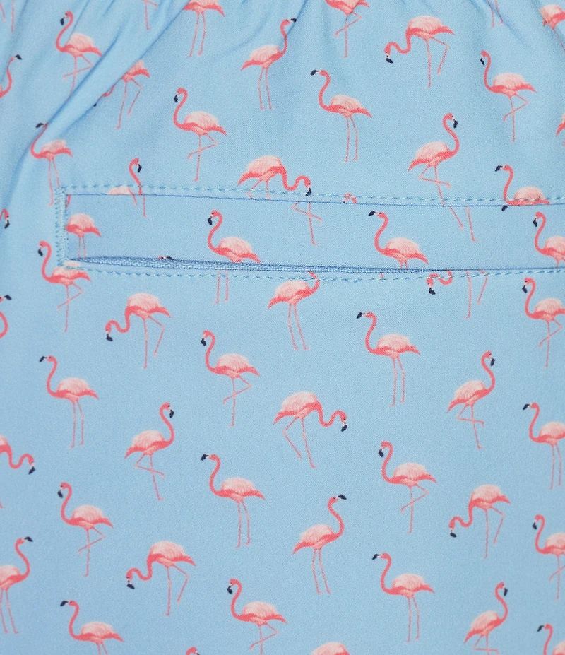 Caribbean Mini Flamingo 6#double; Swim Trunks