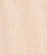 Caribbean Solid Long Sleeve Woven Shirt