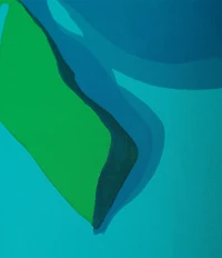 Caroline Rose Plus Valentina Copa Abstract Floral Print Matte Crepe V-Neck 3/4 Bell Sleeve A-Line Dress