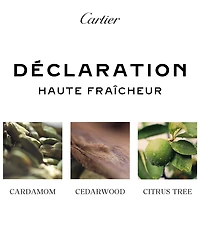 Cartier Declaration Haute Fraicheur Eau de Toilette Spray