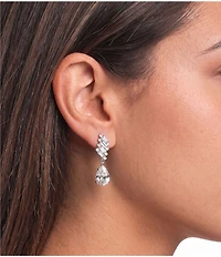 Cezanne Briane Wing Drop Earrings