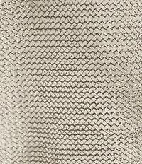 Cezanne Fringe Metallic Evening Shawl