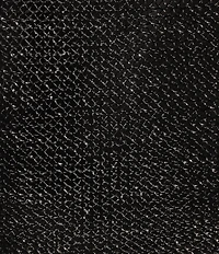 Cezanne Fringe Metallic Evening Shawl