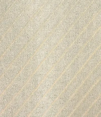 Cezanne Wide Pleat Shine Evening Wrap