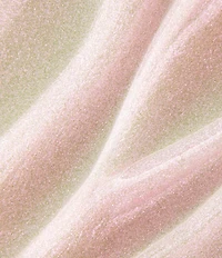 Chantecaille Brilliant Lip Gloss