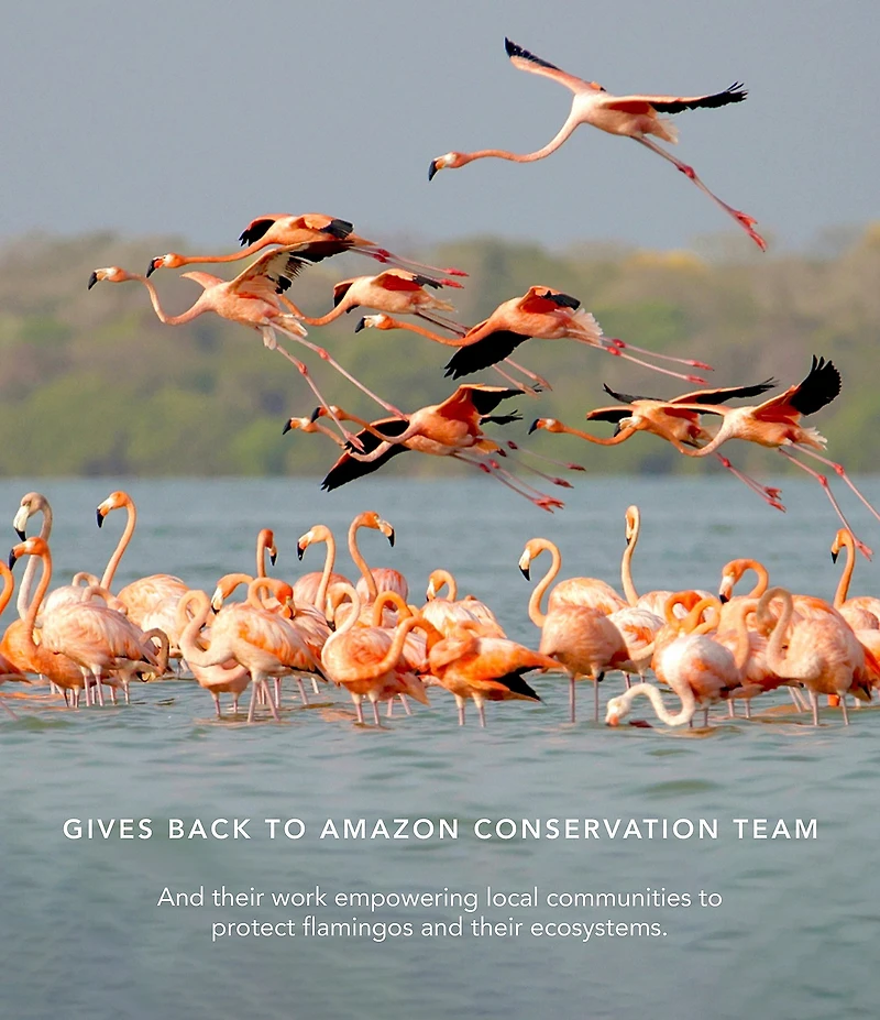 Chantecaille Flamingo Collection Dusk Eyeshadow Trio