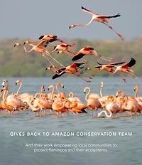 Chantecaille Flamingo Lip Chic Limited Edition Flamingo Collection