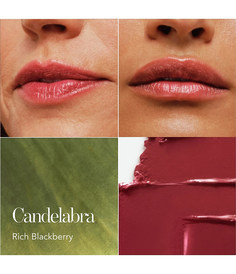 Chantecaille Limited Edition Lion Collection Lip Veil